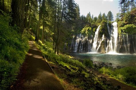 Explore 19 Of The Best State Parks In Northern California