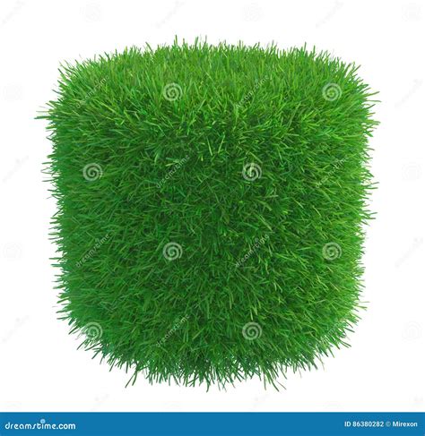 Round Piece Of Cropped Grass To Be Installed Stock Photo Image Of