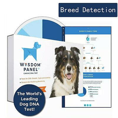 Though it was unlikely she had any purebred heritage, it was interesting to see which breeds she most resembled. Dog DNA Test Kit for Breed and Ancestry Information by ...