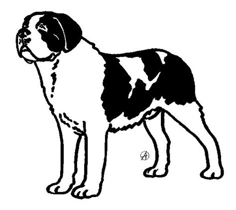 Saint Bernard Coloring Pages Coloring Pages