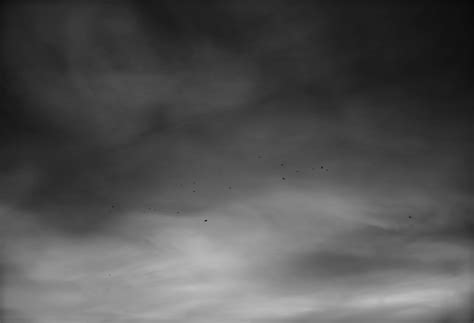 Fotos Gratis Nube En Blanco Y Negro Cielo Atmósfera Línea