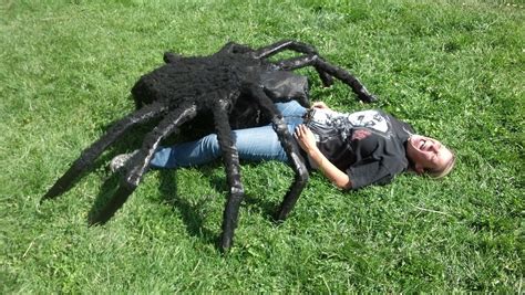 Giant Spider 4 Steps With Pictures Instructables