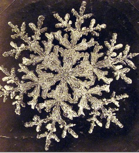 Witness The First Ever Snowflake Photographs