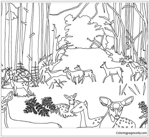 Animals Living In The Forest Coloring Page Free Printable Coloring Pages