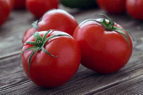 How To Store Fresh Tomatoes Foodal