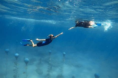 underwater journeys Айя Напа tripadvisor