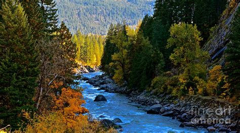 Fall Colors On The Wenatchee River Photograph By Lisa Telquist Fine