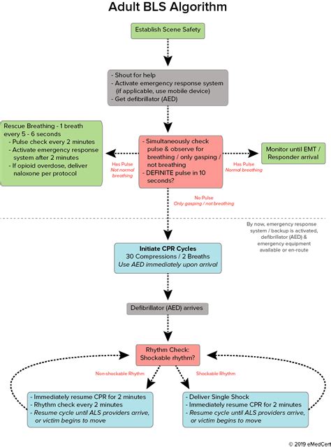 Acls Algorithms You Need To Know