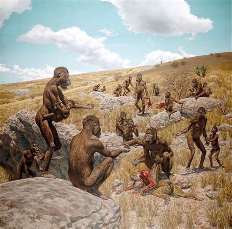 Australopithecus Africanus By Jay H Matternes Prehistoric Animals