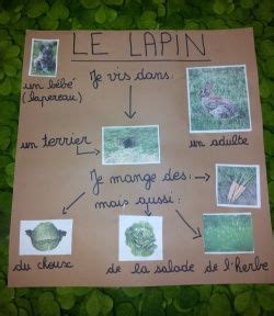 Check spelling or type a new query. A trois on a moins froid | Bon appétit monsieur lapin ...