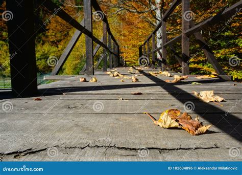 Autumn Wooden Bridge Stock Photo Image Of Footpath 102634896