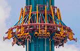 Busch Gardens Tampa New Roller Coaster Pictures