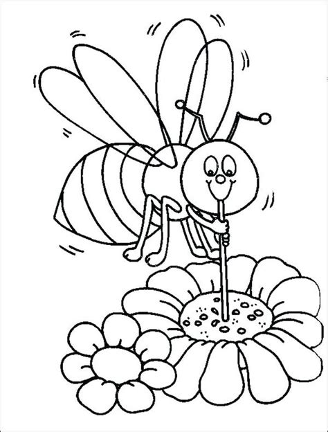 Kumpulan Gambar Mewarnai Lebah Serangga Penghasil Madu 5minvideoid