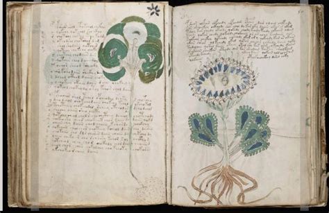 The Voynich Manuscript Manuskript Manuscrito Facsimile Faksimile