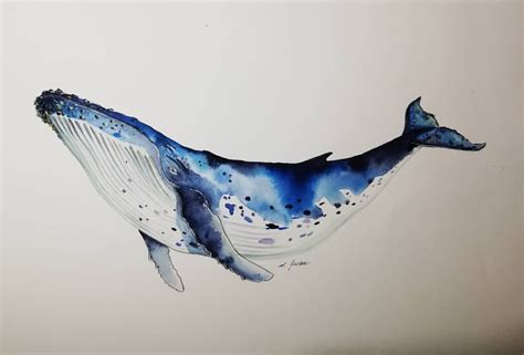 Pin Auf Watercolour Whales