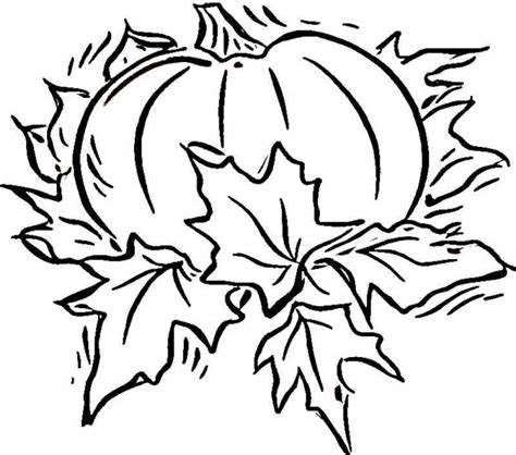 Halloween Pumpkin Drawing | Free download on ClipArtMag