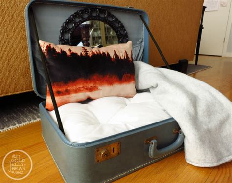 Diy Vintage Suitcase Dog Bed The Gold Jellybean