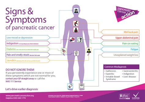 Pancreatic Cancer Symptoms Signs And Symptoms Of Pancreatic Cancer