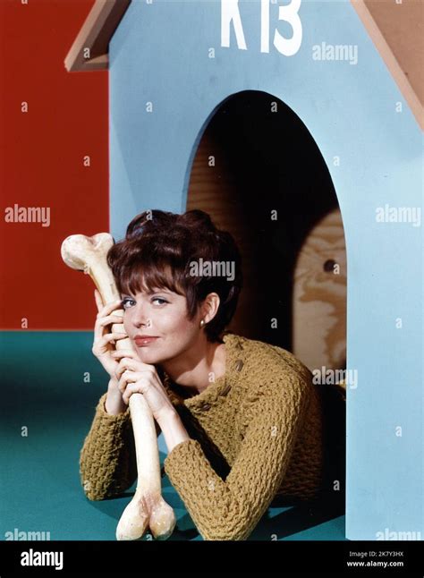 Barbara Feldon Television Get Smart 1965 Characters Agent 99