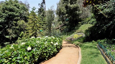 Beautiful Government Botanical Gardens In Ooty Tamilnadu India