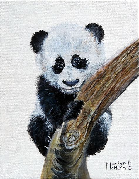 Baby Panda Painting By Marilyn Mcnish Fine Art America