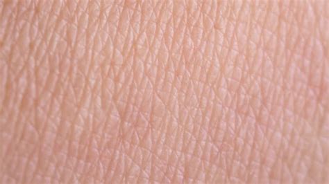Skin Texture Videos Stock Videos And Royalty Free Footage Istock