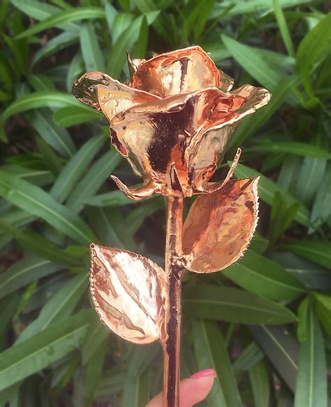 Check spelling or type a new query. 24K Rose Gold Dipped Rose, a Real Rose Preserved in Gold