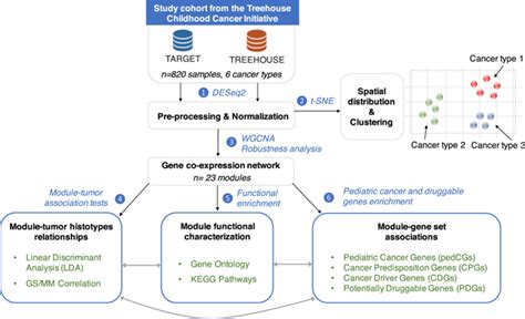 Depicting The Genetic Architecture Of Pediatric Cancers Through An