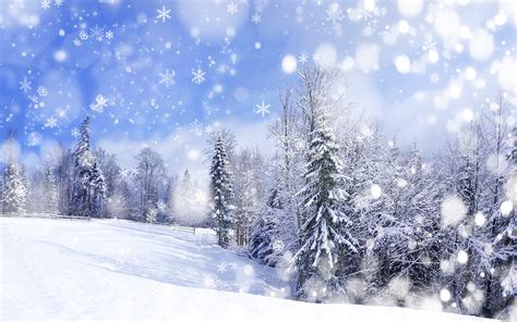 Winter wallpaper for desktop computer. Free download 25 Winter Wallpapers for Desktop [2560x1600 ...