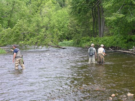 Fly Fishing In The Adirondacks Unique Fish Photo