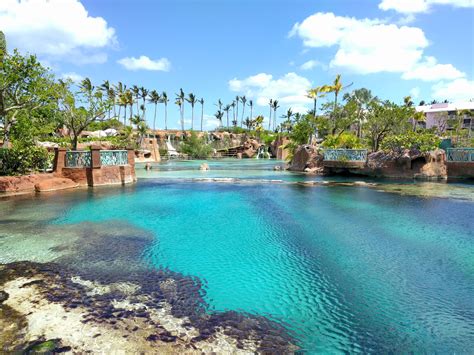 Staying on Paradise Island Bahamas - Where We Going Next?