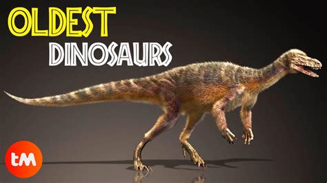 The Oldest Dinosaurs Found 🦖 Youtube