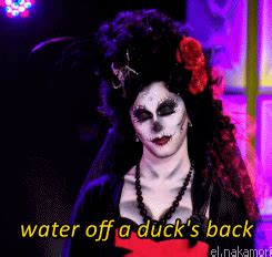 Ducks do not pant often. This was a mantra I had heard repeatedly in RuPaul's Drag Race Season 5 by the winner Jinkx ...