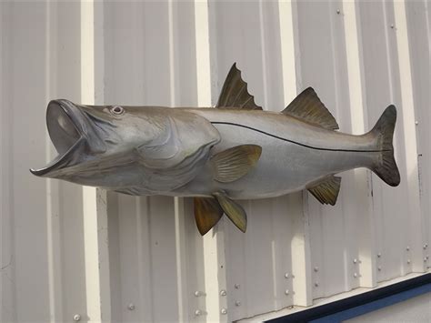 41 Inch Snook Mount 41 Inch Snook Full Mount