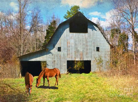 30 most beautiful horses in the world who truly love their. Horses Call This Old Barn Home Photograph by Sandi OReilly