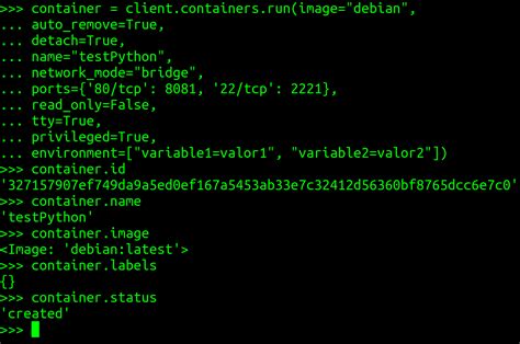 C Mo Controlar Docker Desde Tus Scripts En Python Parte De Seguridad En Sistemas Y