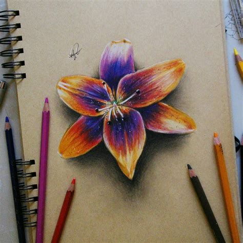 Colored Pencil Flower Drawings