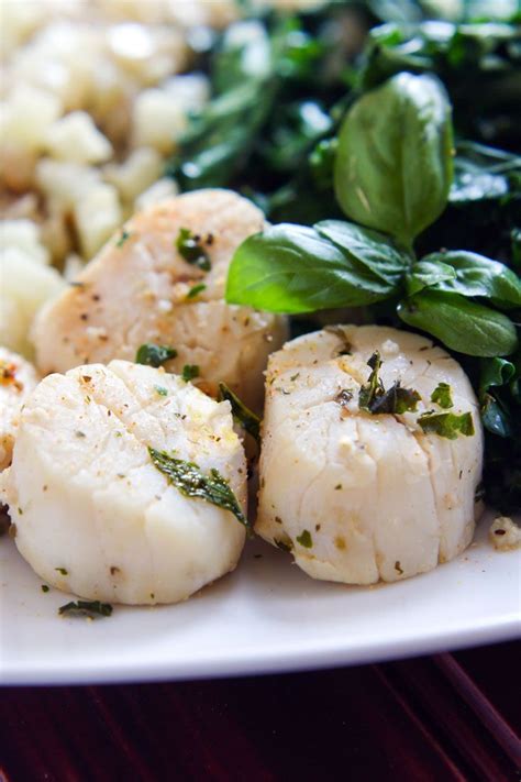 Serve these tasty scallops with rice or pasta. Steamed Scallops with Garlic and Herb | Dinners under 500 calories, Scallop recipes, Recipes