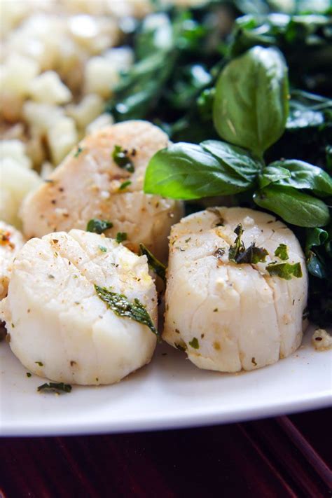 This gourmet scallop recipe is easy to make at home. Steamed Garlic and Herb Scallops with Veggies (Paleo) | Recipe | Dinners under 500 calories ...