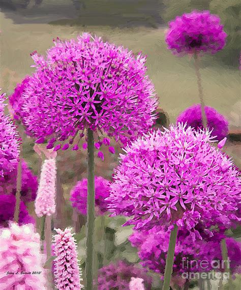 Located on the historic ozark town square, hazel's flowers and plant shop has served ozark and surrounding communities for over 50 years. Pink Flowers Mixed Media by Jerry L Barrett