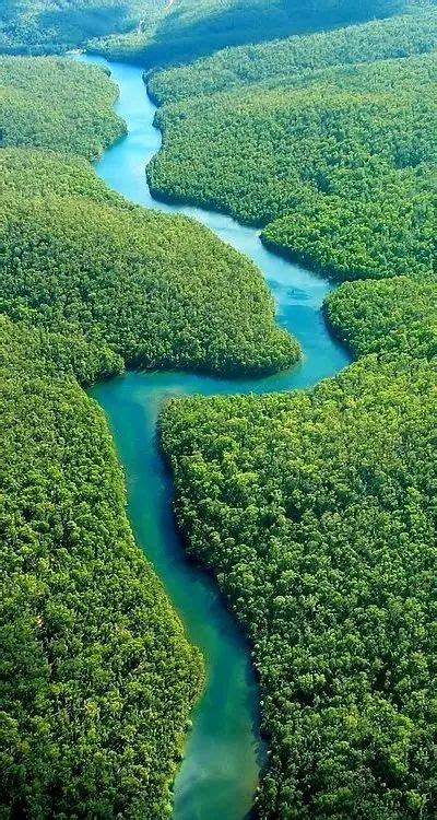 Sights Of The Amazon Rainforest To Make You Go Ooh Rainforest Sexiz Pix