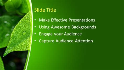 Free Leaf PowerPoint Template - Free PowerPoint Templates