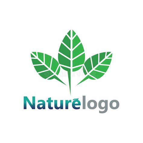 Leaf Logo Design Vector For Nature Symbol Template Editablegreen Leaf