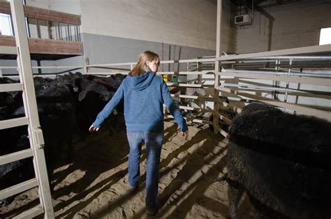 Byu Idaho Animal Science