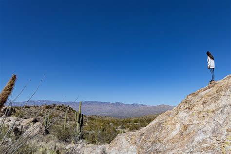 220203 Saguaro National Park Tucson Arizona Rzc9133 Grasping For