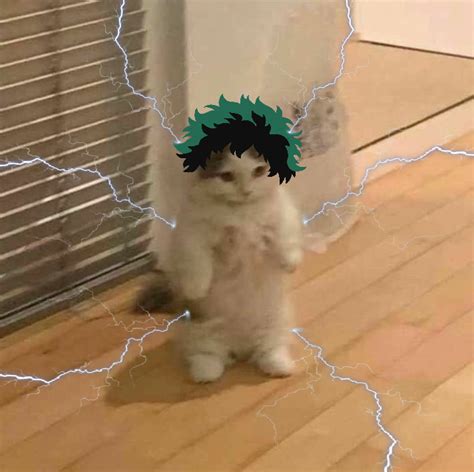Pin By Dino On Anime Anime Kitten Cat Pfp Standing Cat