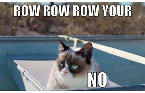 31 Great Grumpy Cat Memes That Will Make You Less Grumpy Snappy Pixels
