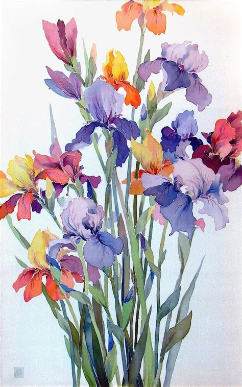 579 Best Images About Iris Art On Pinterest Bearded Iris