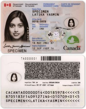 A green card is proof that its holder, a lawful permanent resident, has been officially granted immigration benefits, including permission to reside. 0501 Permanent Resident Card - PEI Association for Newcomers to Canada