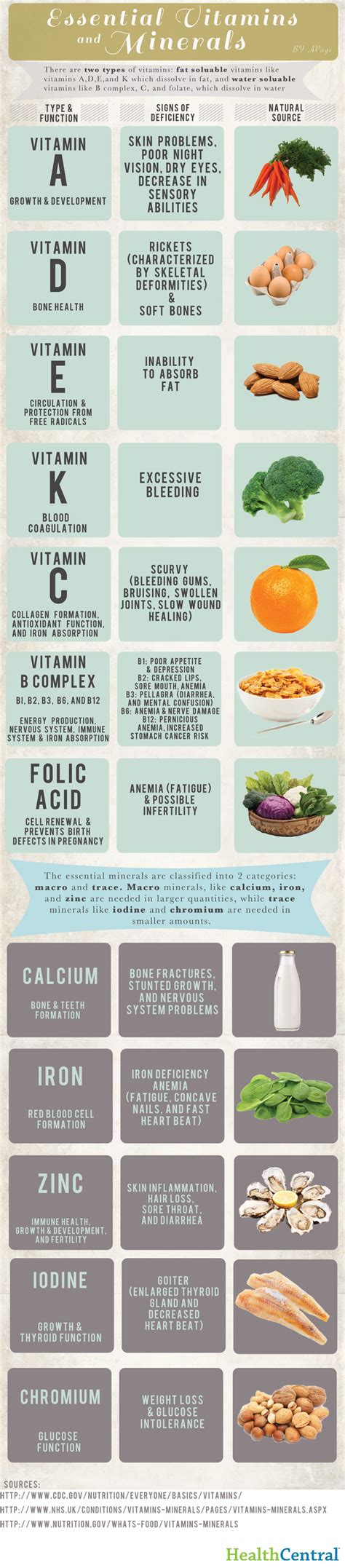 Essential Vitamins And Minerals Infographic Health Food Nutrition
